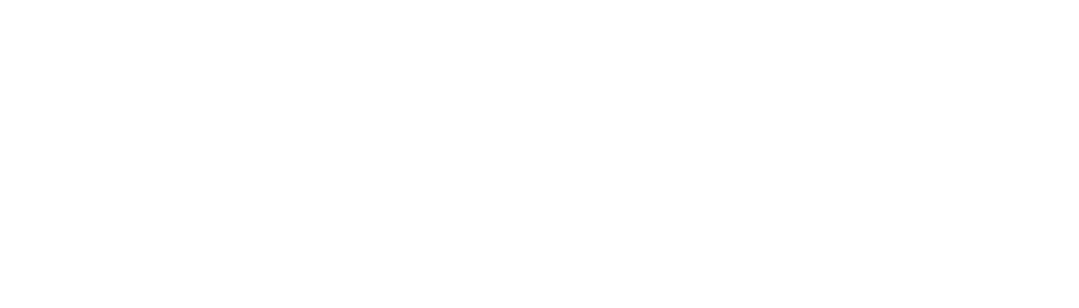 logo light
